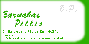 barnabas pillis business card